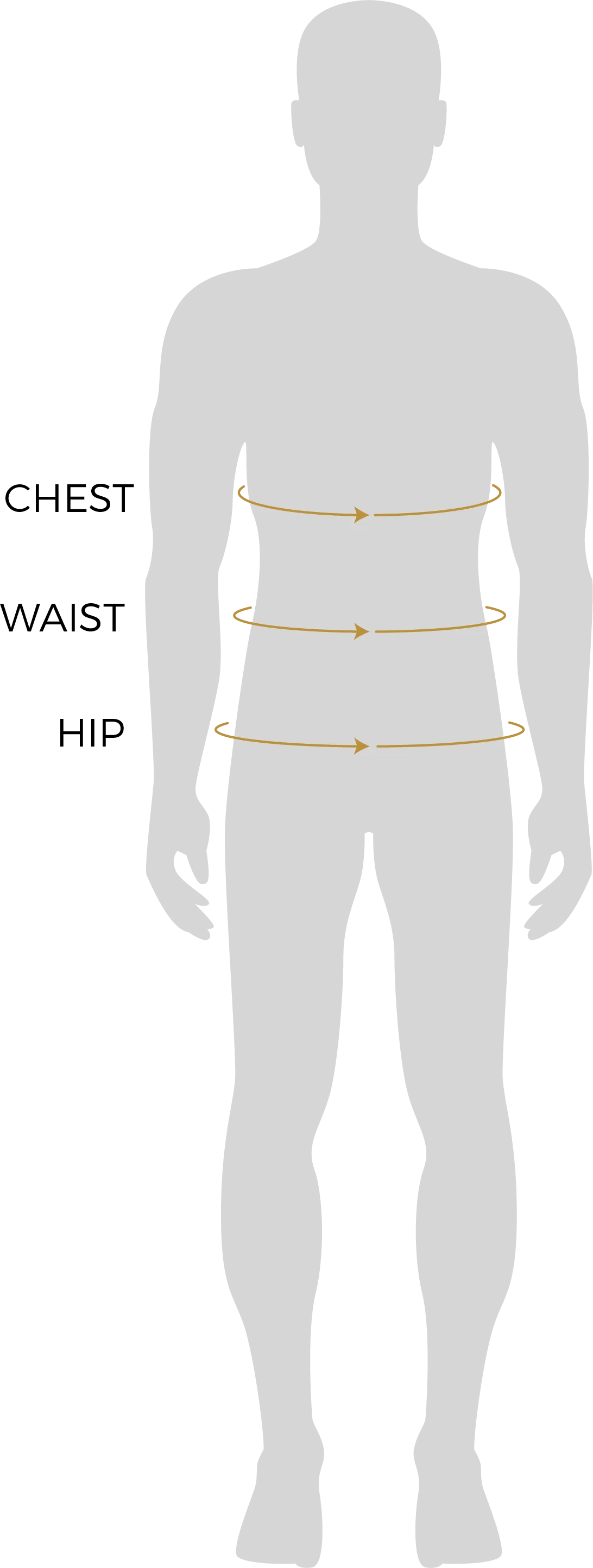 Body measurement guide